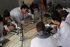 laboratorio scienze2